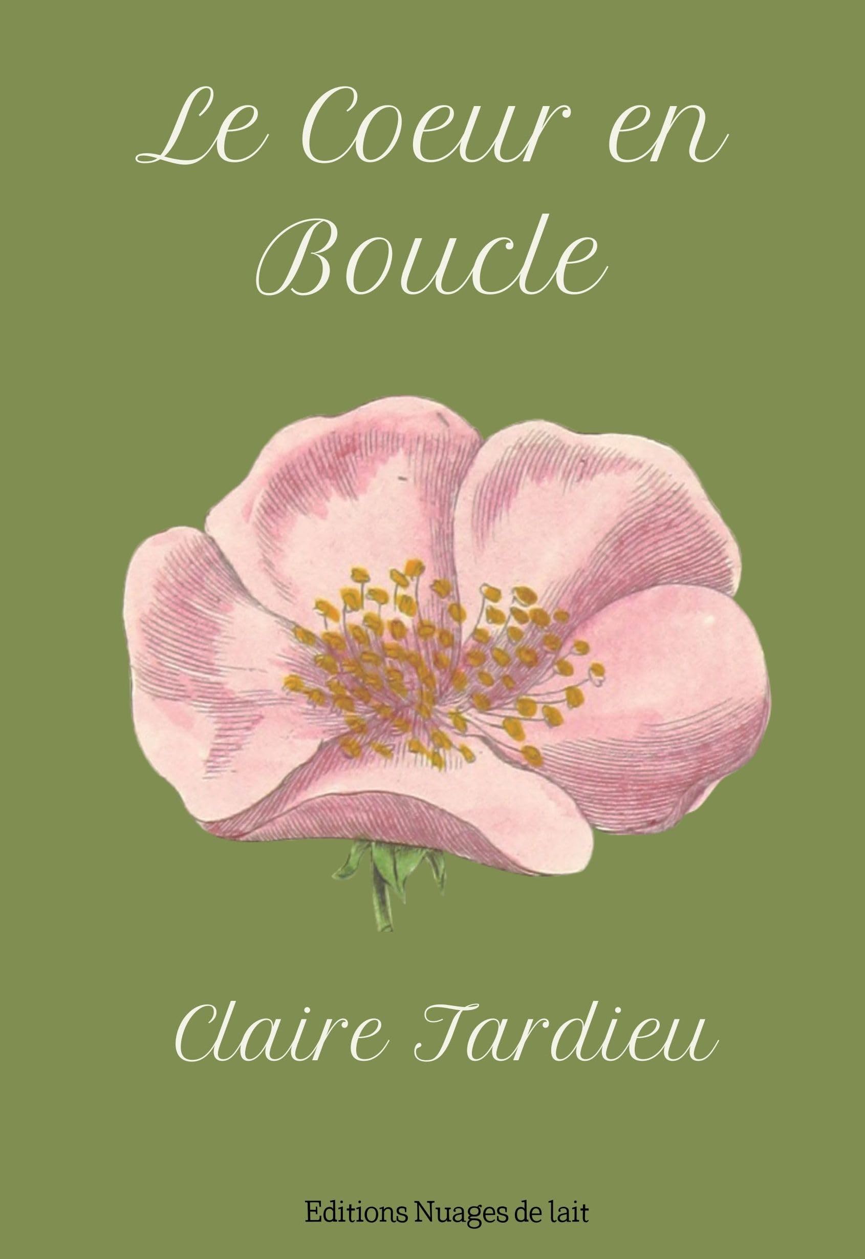 Le coeur en boucle book