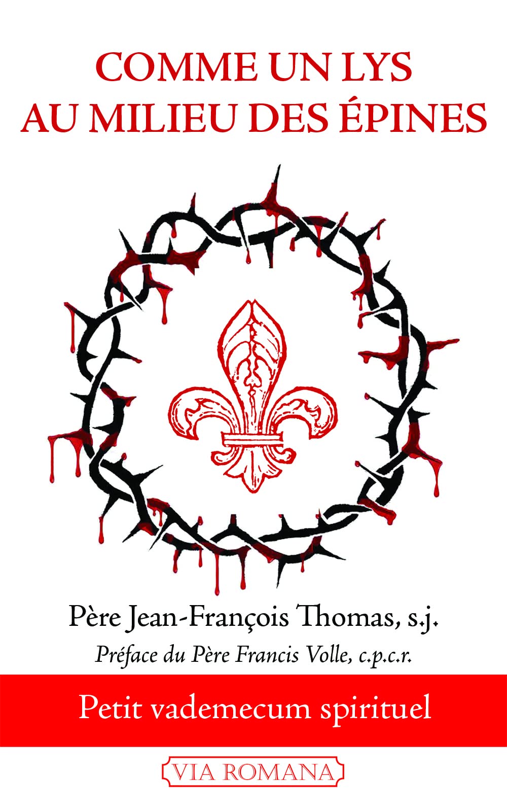 Comme un lys au milieu des épines: Petit vademecum spirituel Religion & Esotericism