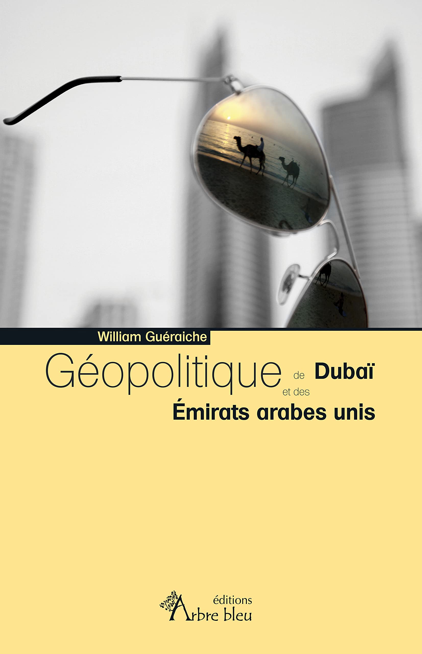 Géopolitique de Dubai et des émirats arabes unis (eau) Politics & History