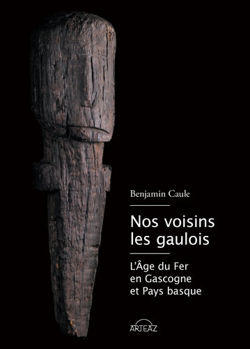 Nos voisins les Gaulois : l'âge du fer en Gascogne et Pays basque book