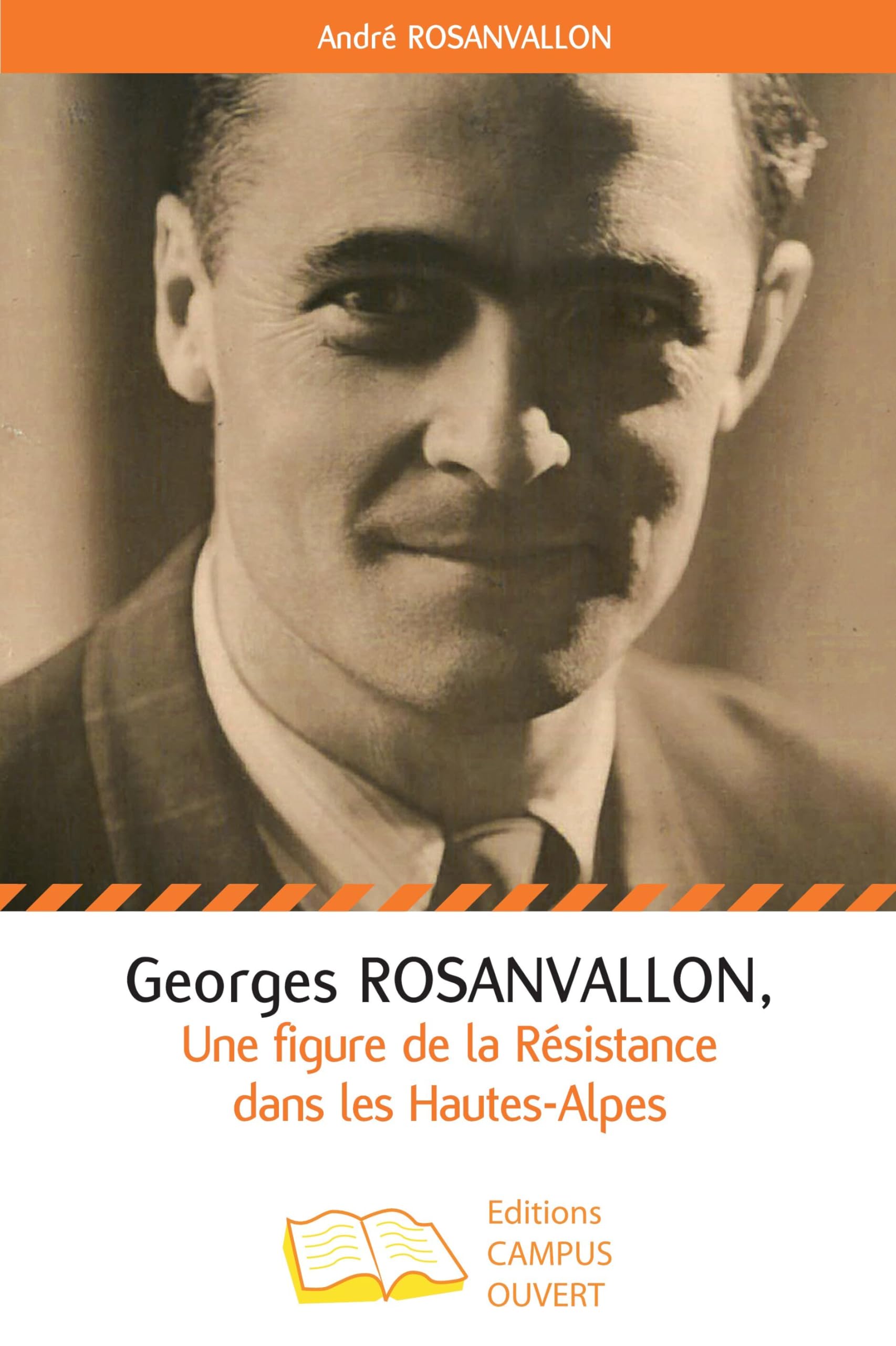 Georges Rosanvallon: Une figure de la Résistance dans les Hautes-Alpes book