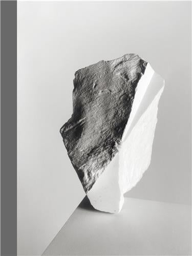 The erratics Photography