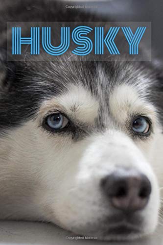 Husky: Notebook with Animals for Kids and Adults, for Drawing Coloring and Writing (Colorful & Cartoon Cover, Blank, 110 Pages, 6 x 9) (Animal Journals) Learning & Reference