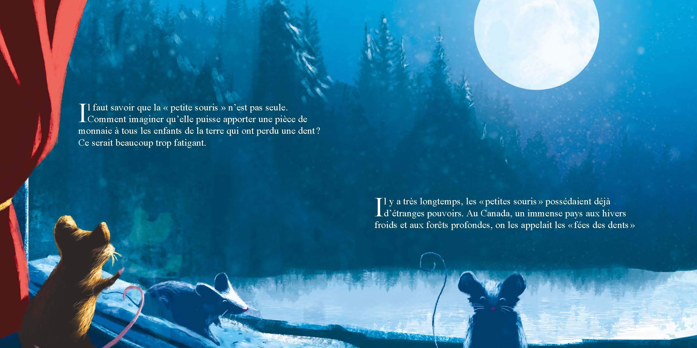 Missouris et les boutons de bois book