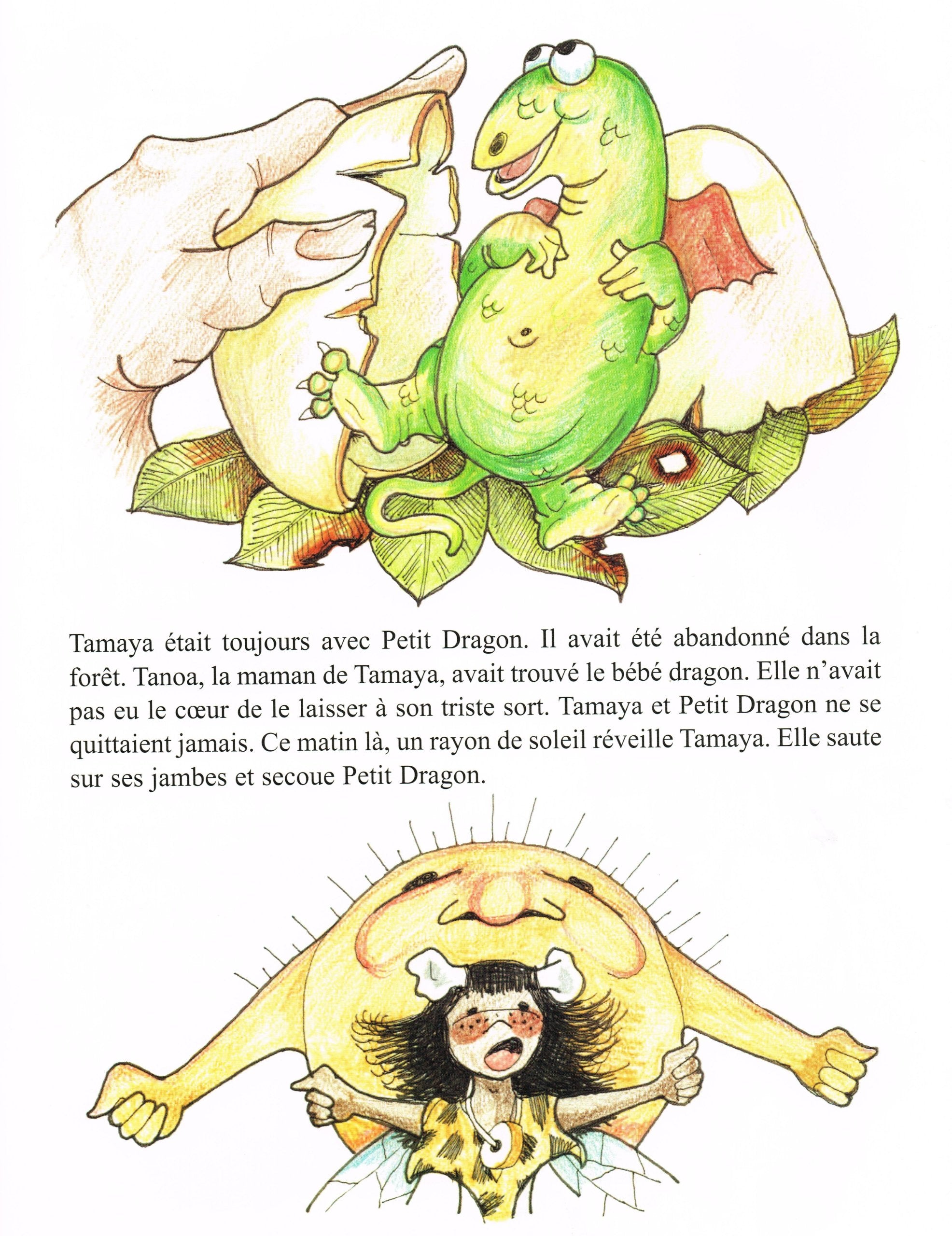 Tamaya et Petit Dragon "La naissance du feu" book