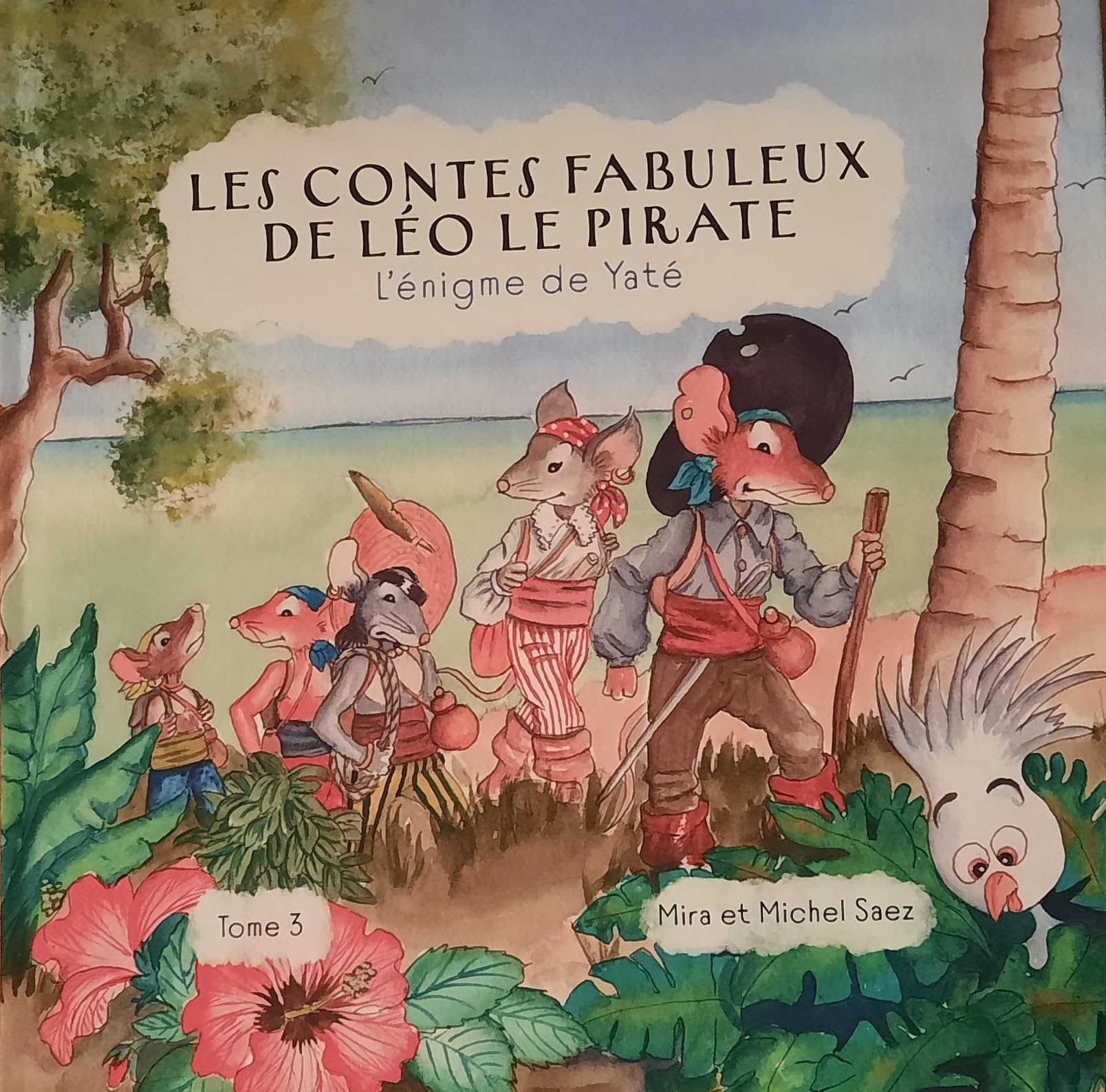 Léo le pirate et l'énigme de Yaté: Léo et l'énigme de Yaté 2023 book