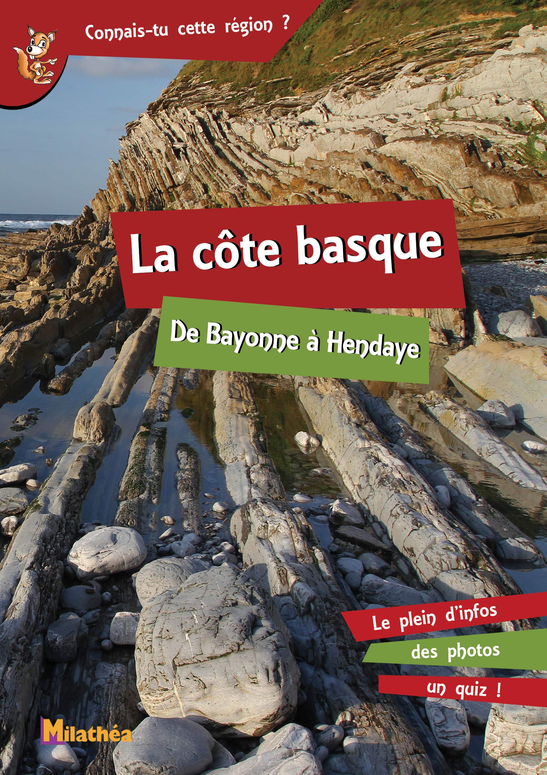 La côte basque: De Bayonne à Hendaye book