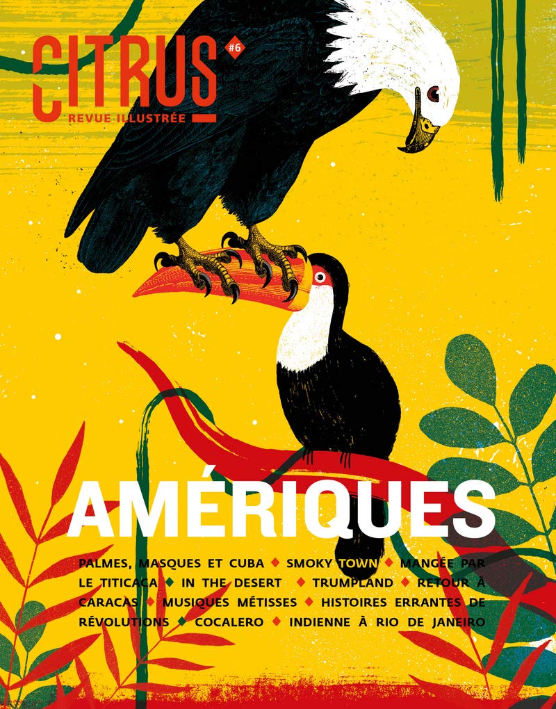Citrus #6 Amériques - Revue de société illustrée book