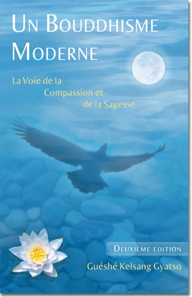 Un bouddhisme moderne : la voie de la compassion et de la sagesse Religion & Esotericism