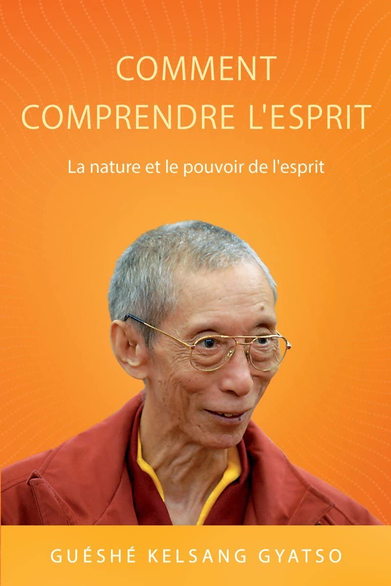 Comment comprendre l'esprit : La nature et le pouvoir de l'esprit book