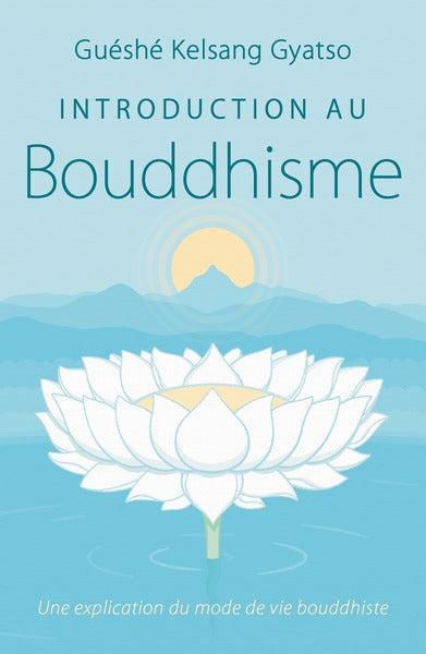 Introduction au bouddhisme : une explication du mode de vie bouddhiste Religion & Esotericism