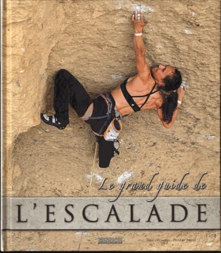 Le grand livre de l'escalade Books