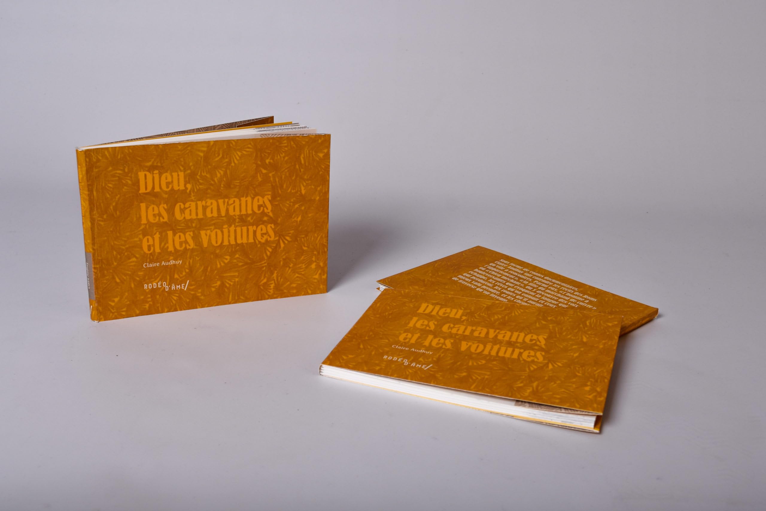 Dieu, les caravanes et les voitures book