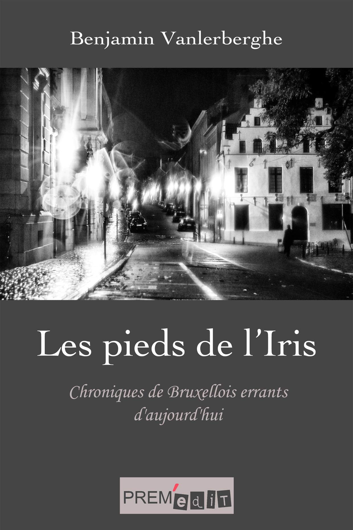 Les pieds de l'Iris: Chroniques de Bruxellois errants d'aujourd'hui book