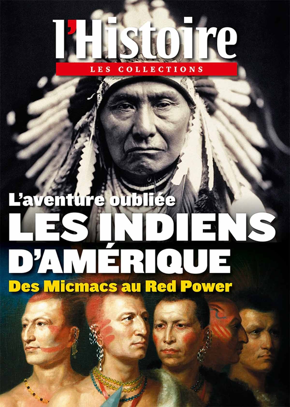 L'aventure oubliée Les indiens d'Amérique: Des Micmacs au Red Power Books