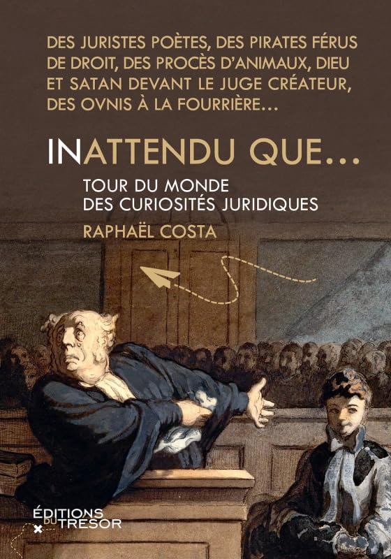 Inattendu que...: Tour du monde des curiosités juridiques book