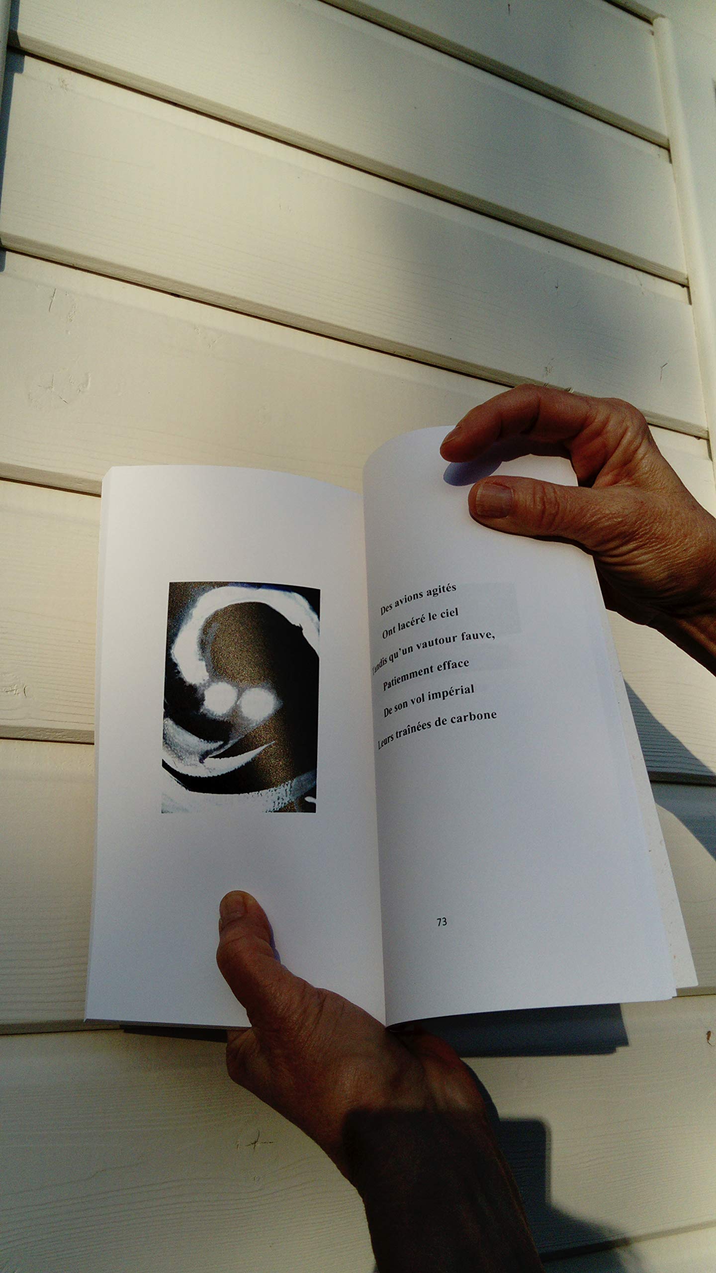 Au berceau de ses rêves - Haikitos book