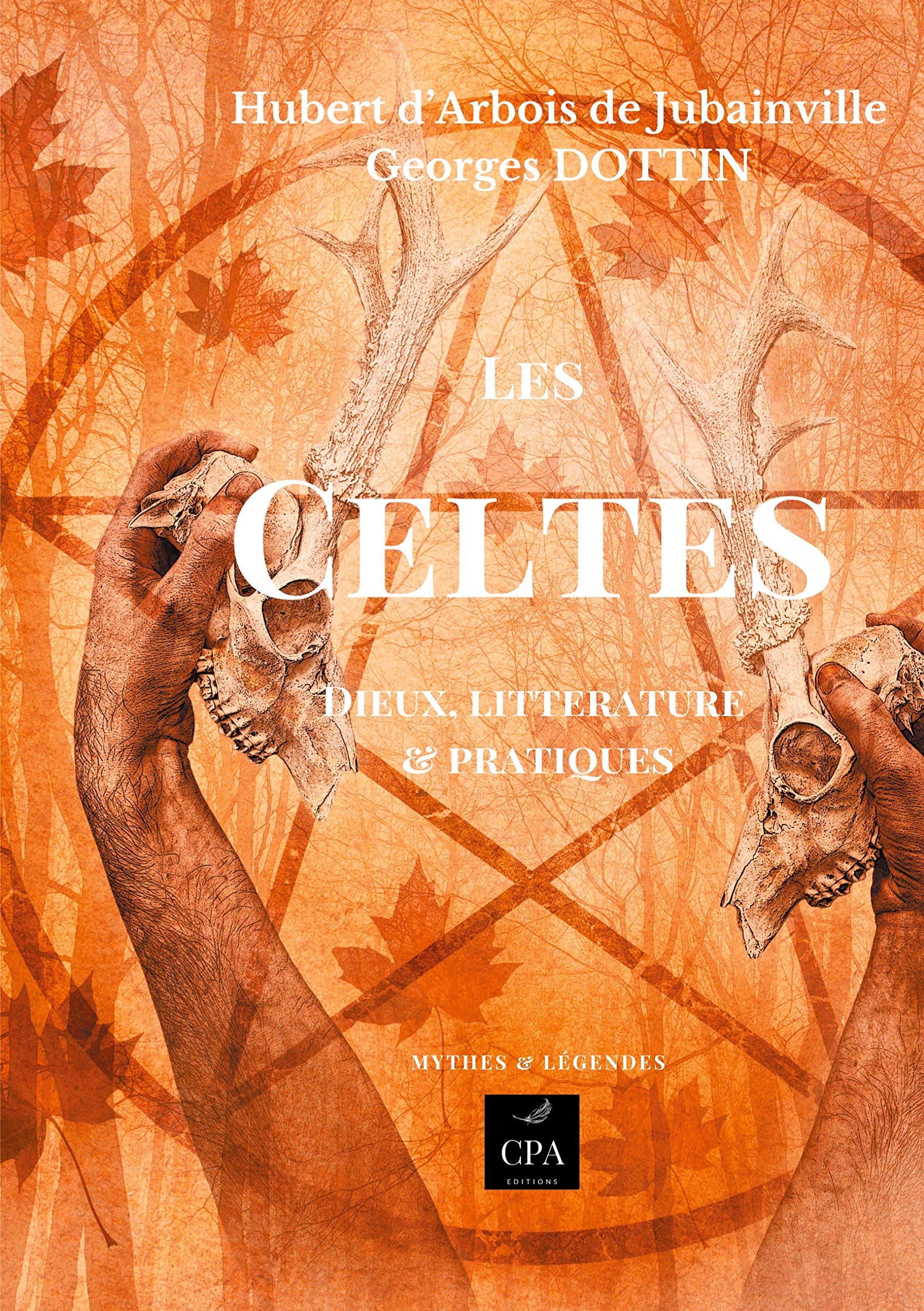 Les celtes: Dieux, littérature et pratiques book