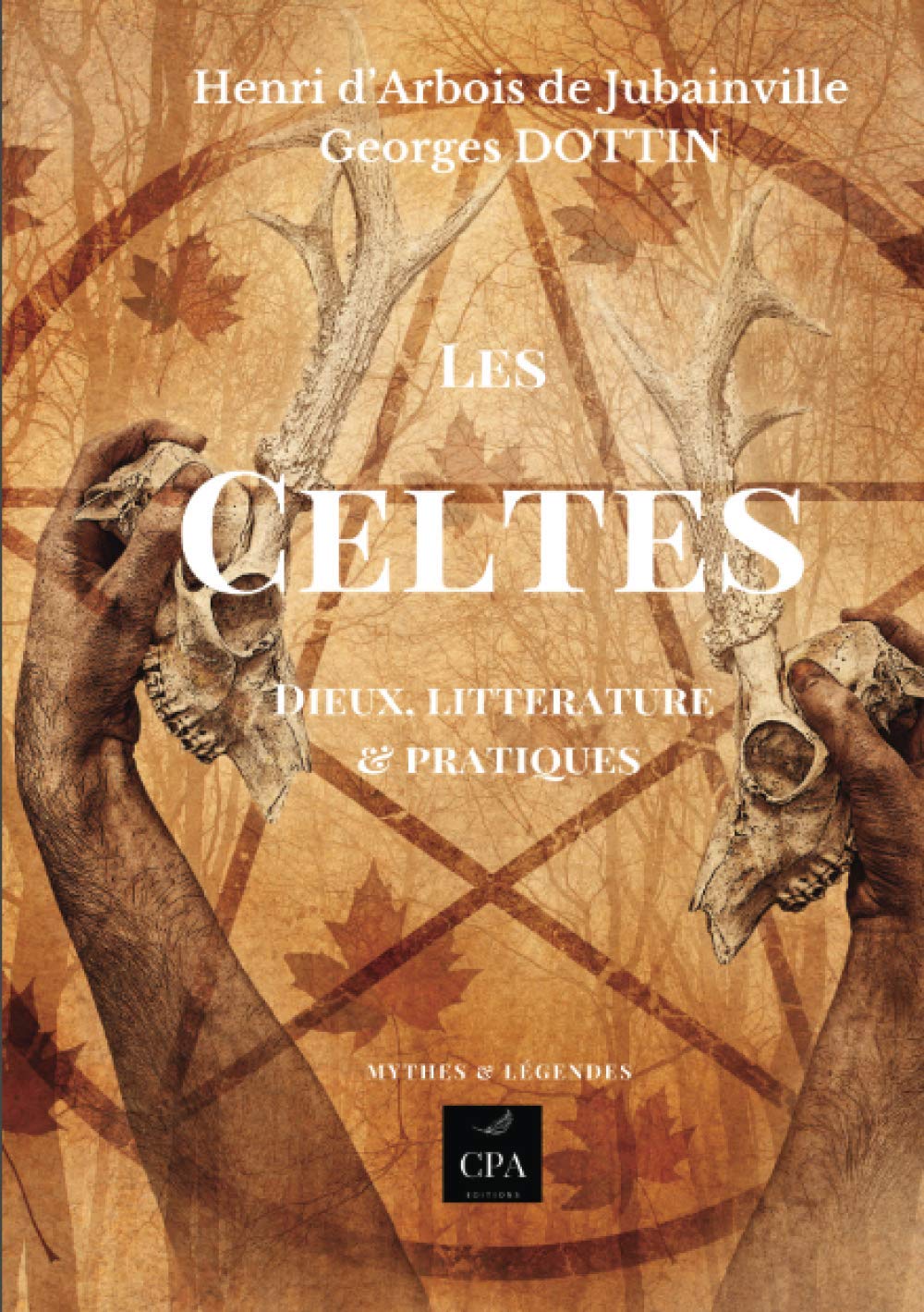 LES CELTES: Dieux, littérature et pratiques book