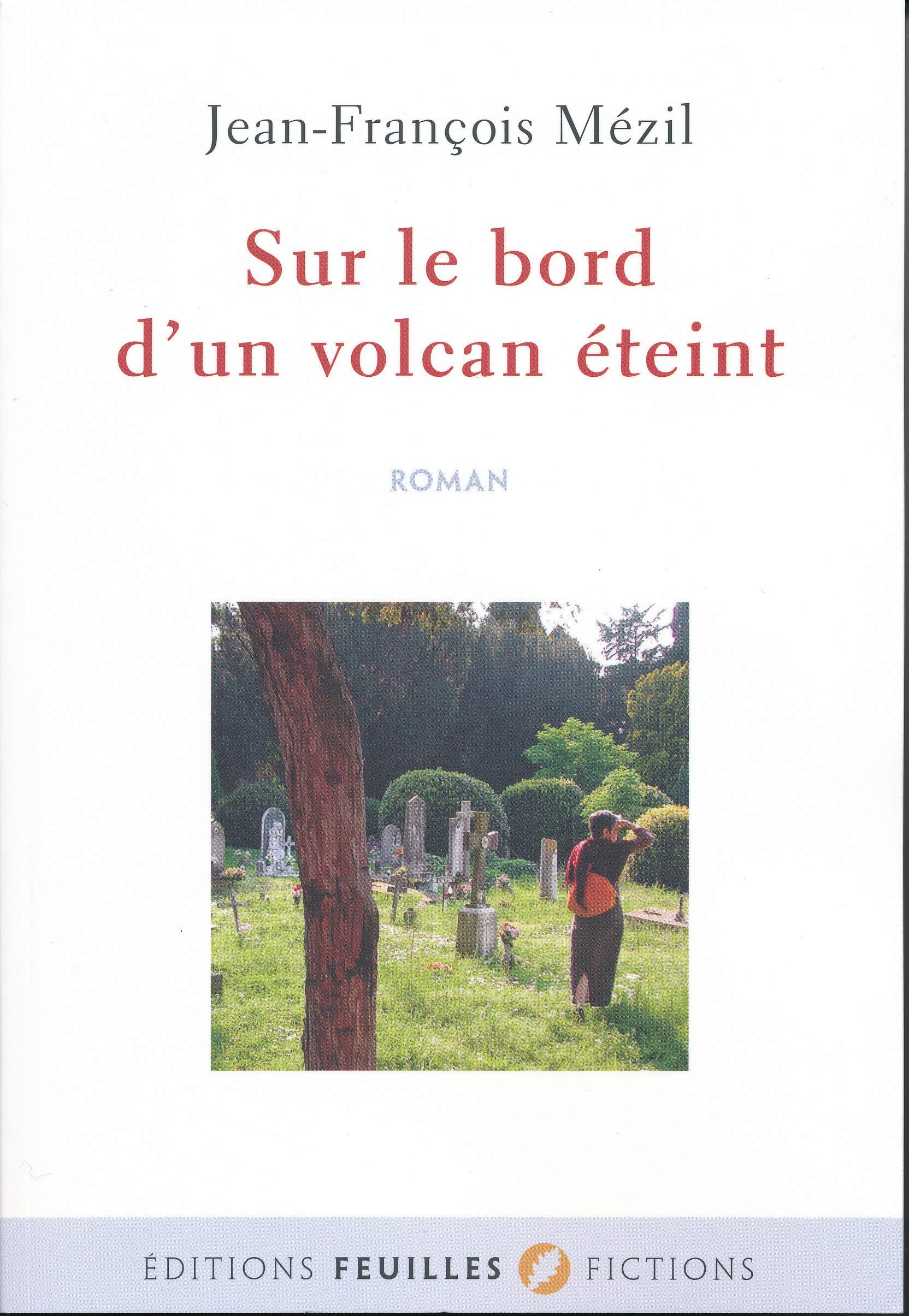 Sur le bord d'un volcan éteint book