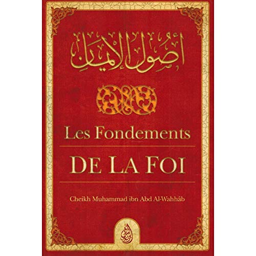 LES FONDEMENTS DE LA FOI book