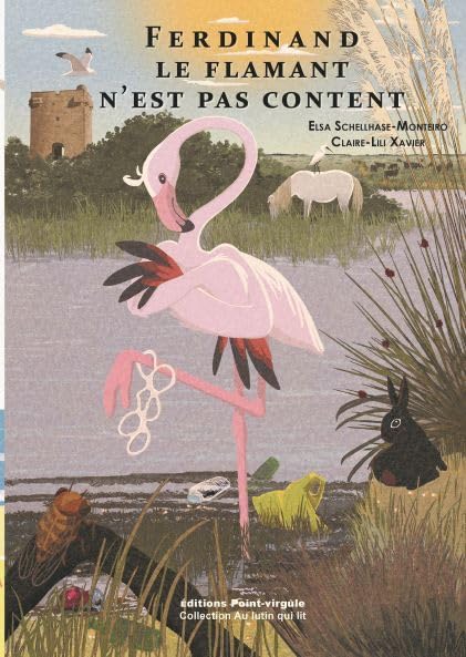 Ferdinand le flamant n'est pas content: Ferdinand le flamant n'est pas content book