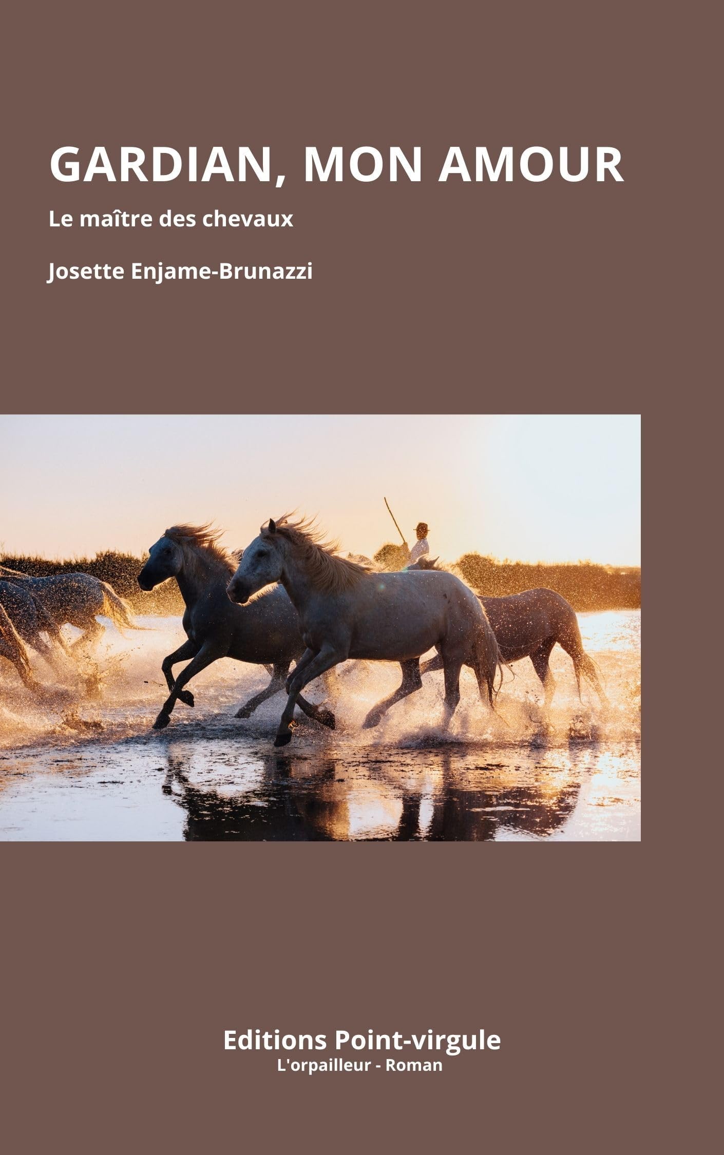 Gardian, mon amour: Le maître des chevaux Contemporary literature