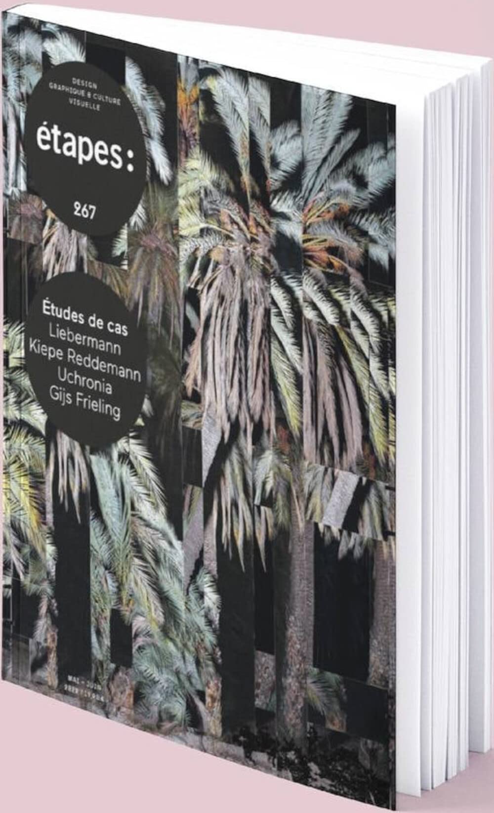étapes n°267 - étapes n°267: ÉTUDES DE CAS Film, Art & Culture