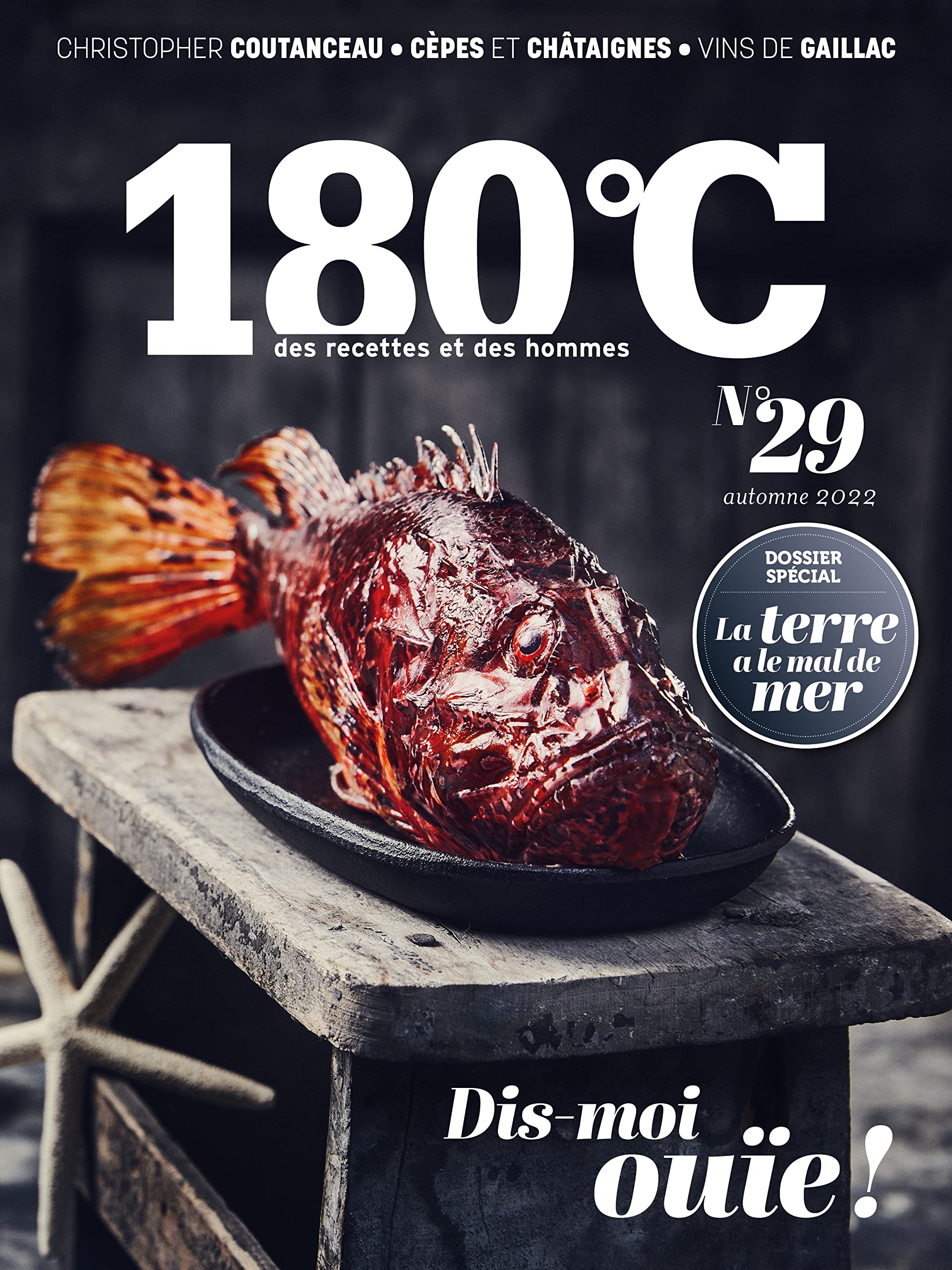 180°C des recettes et des hommes vol 29 (29) book
