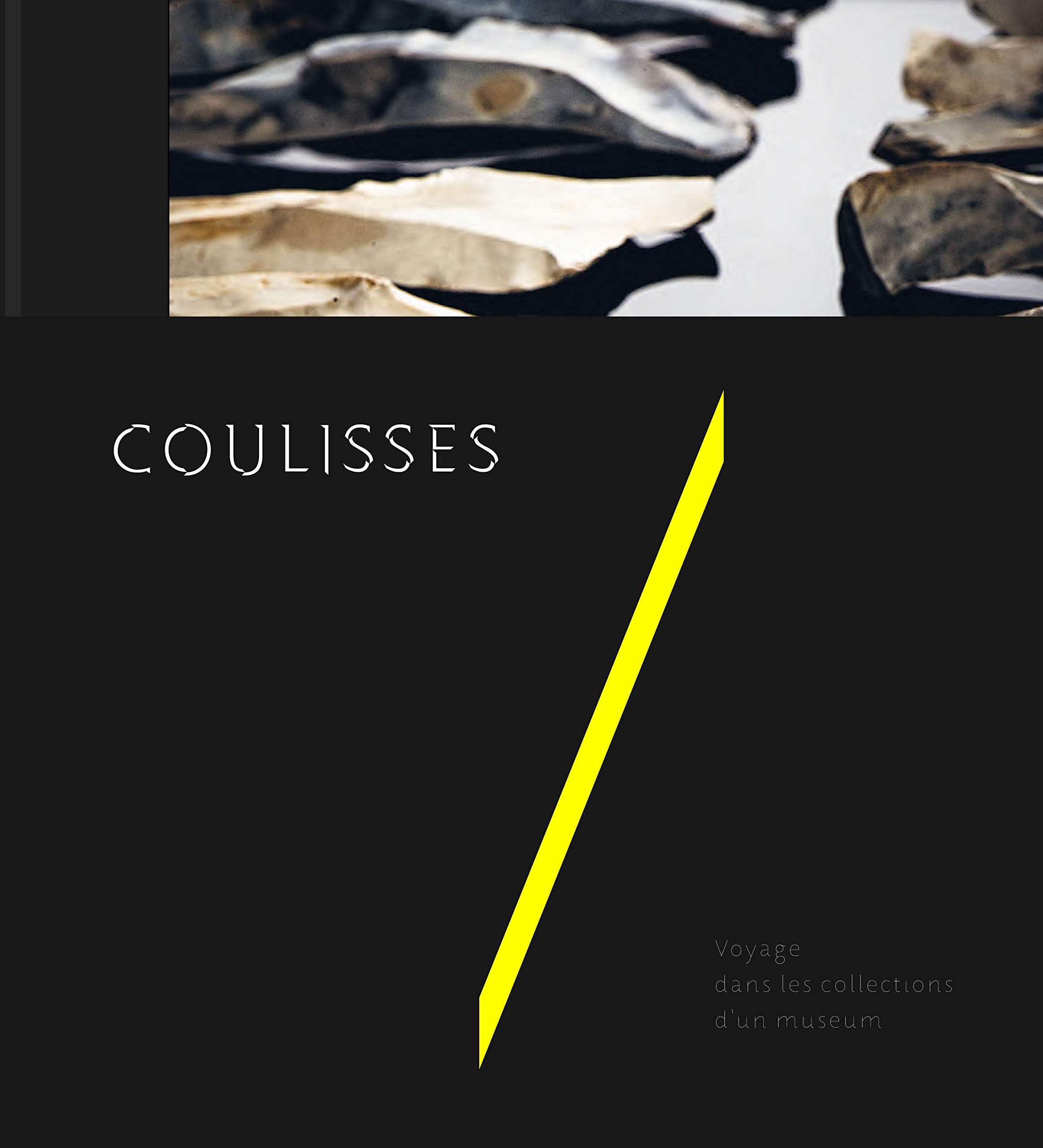 Coulisses - voyage dans les collections d'un muséum Social Sciences