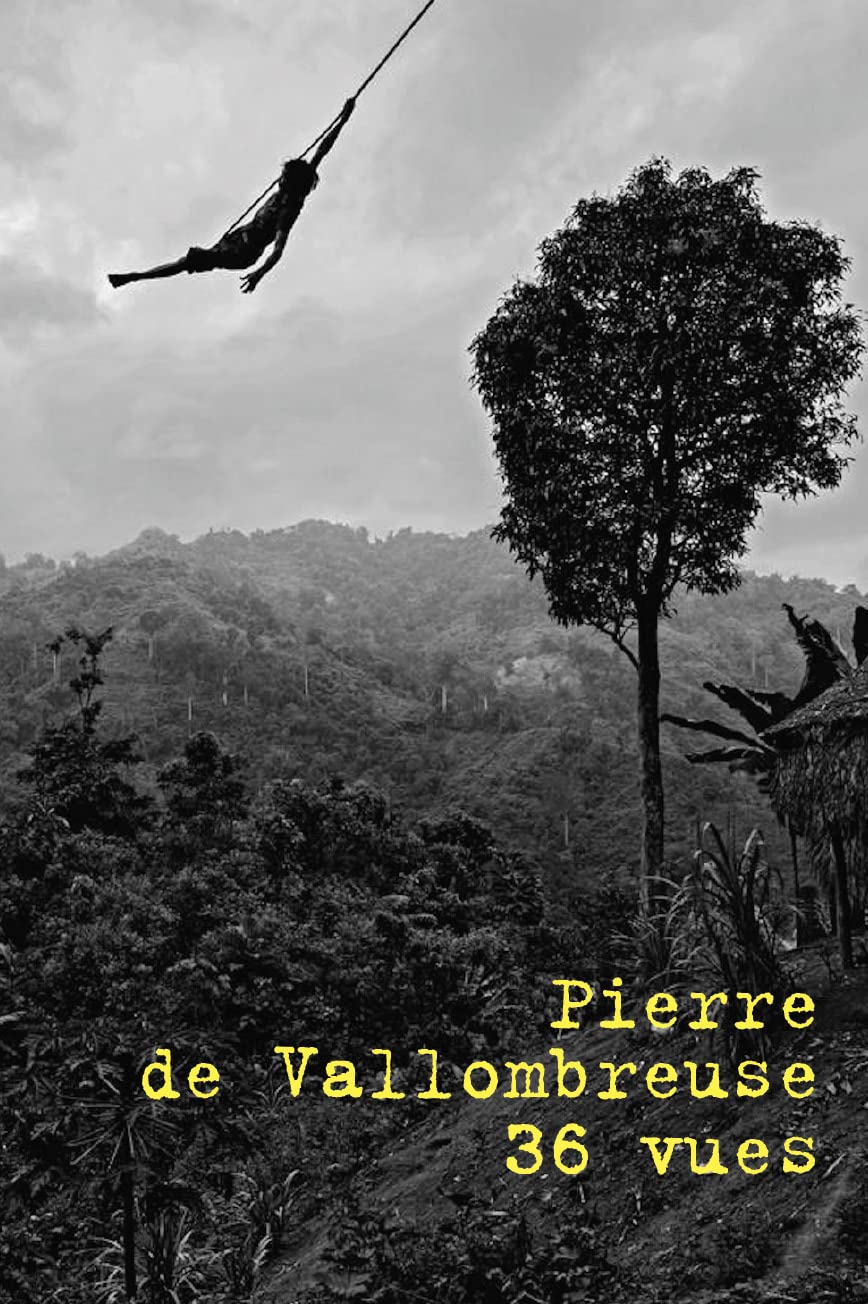 Pierre de Vallombreuse / 36 vues book