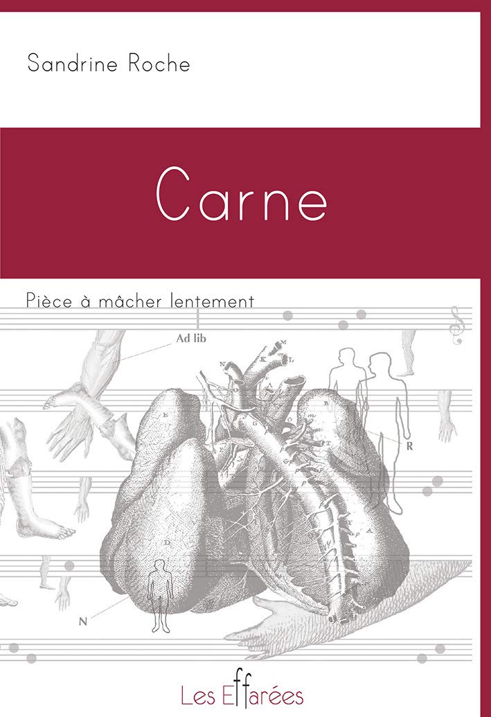 Carne, pièce à mâcher lentement book