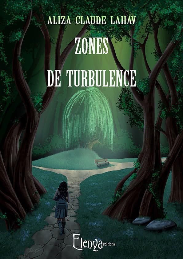 Zones de turbulence book
