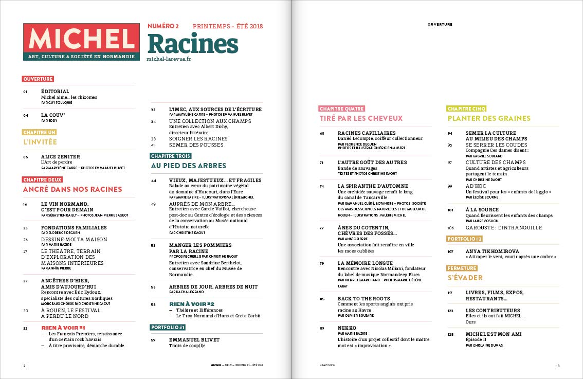 Michel art, culture et société en Normandie: N° 2, racines book