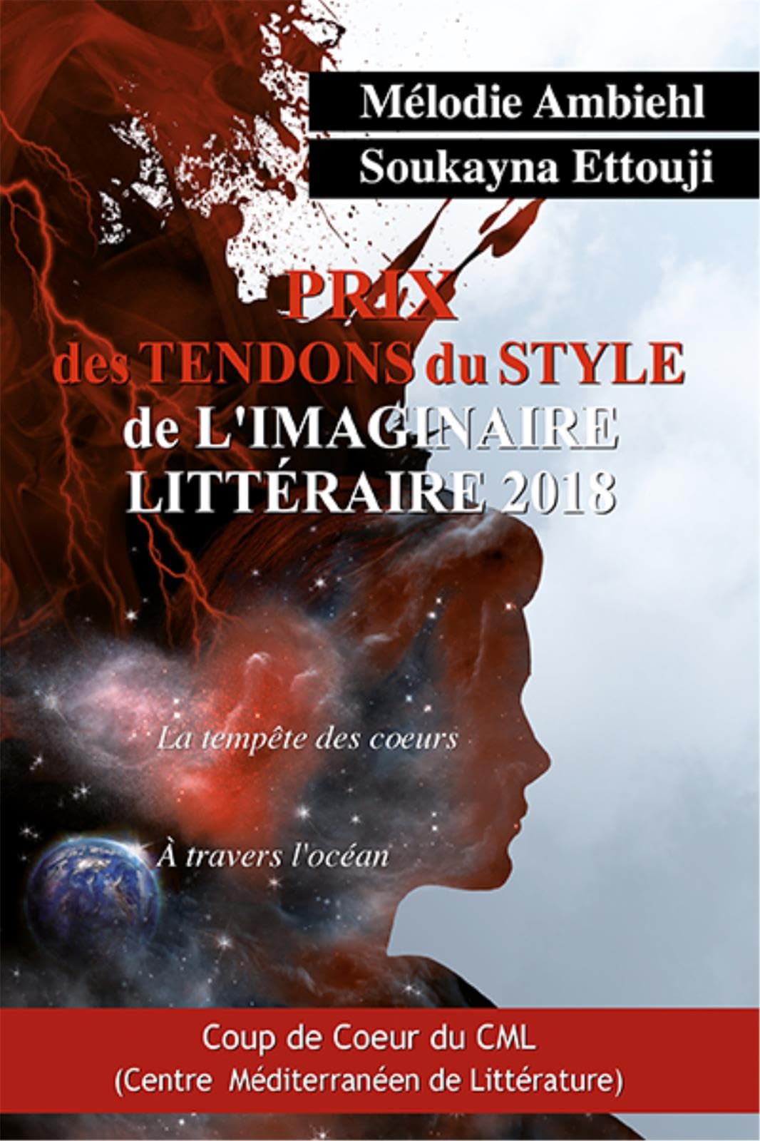 Prix des tendons du style de l'imaginaire littéraire book