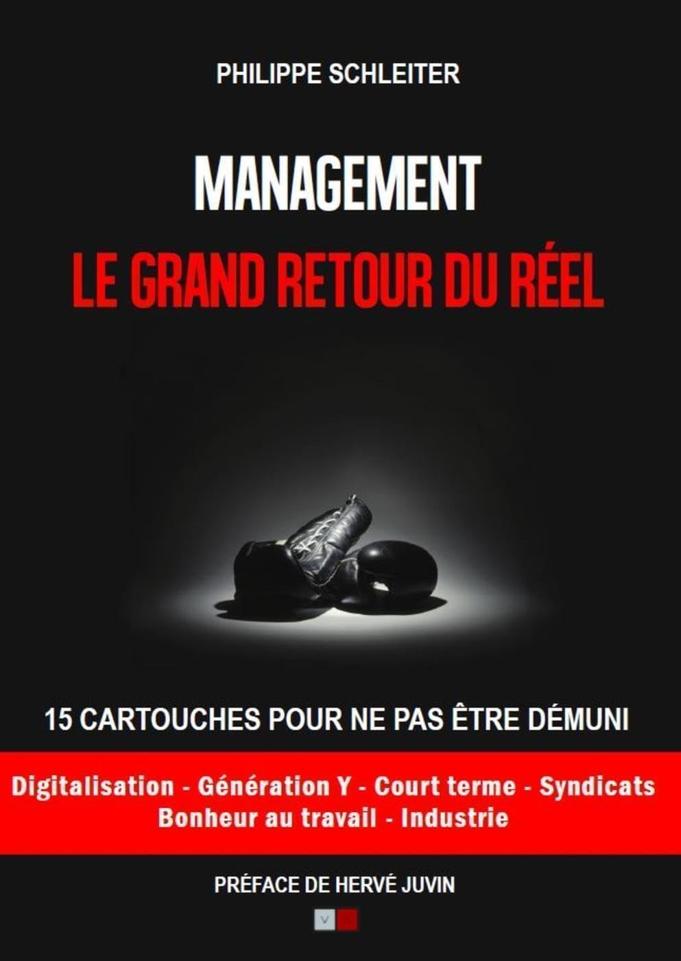 Management : le grand retour du réel: 15 cartouches pour ne pas être démuni. Préface de Hervé Juvin Business, Finance & Career