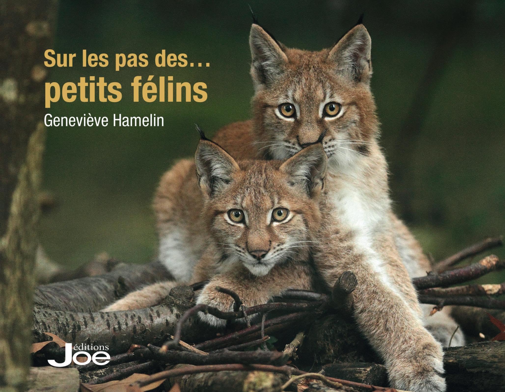 Sur les pas des petits félins book