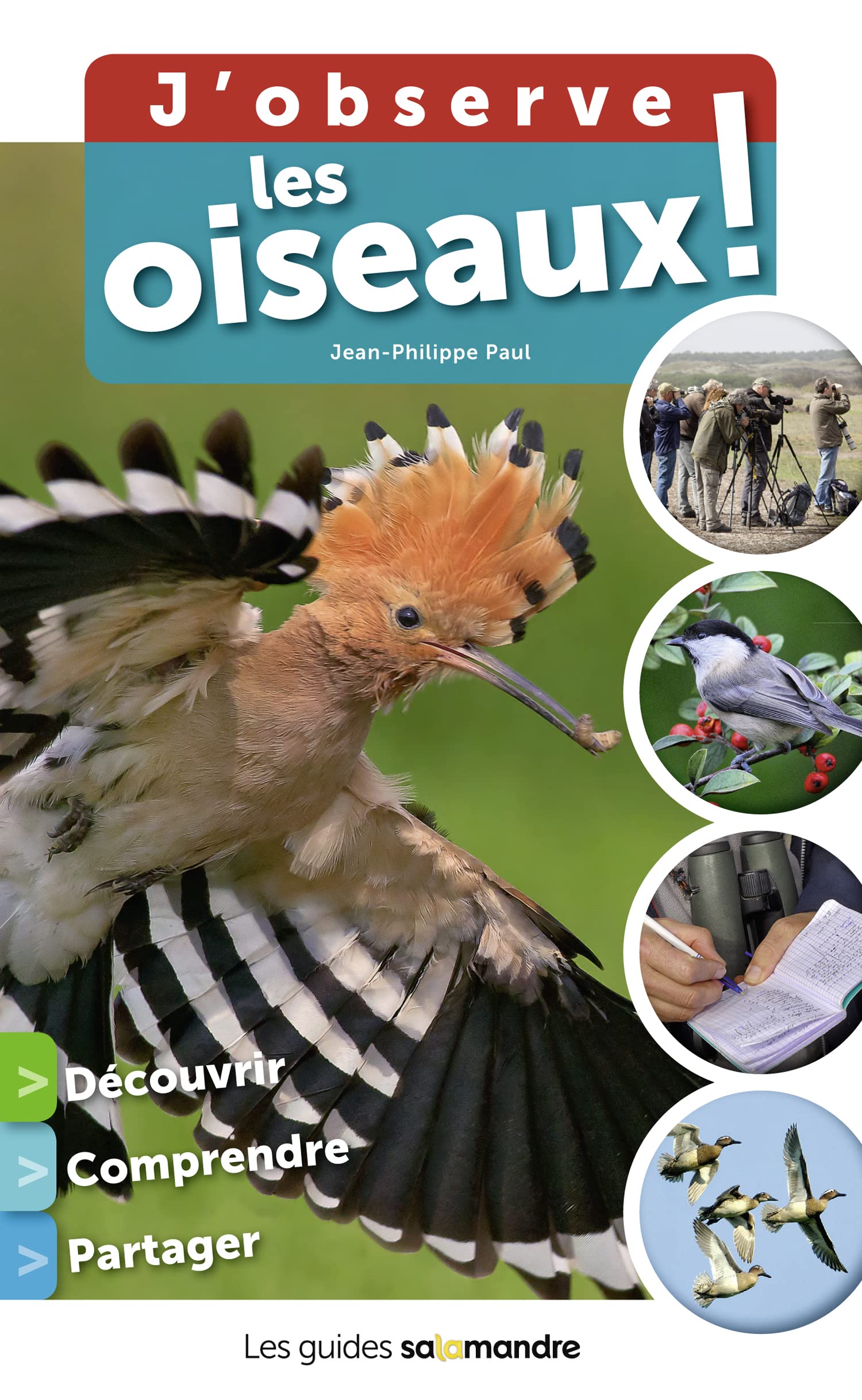 J'observe les oiseaux !: découvrir comprendre partager Leisure, Home & Garden