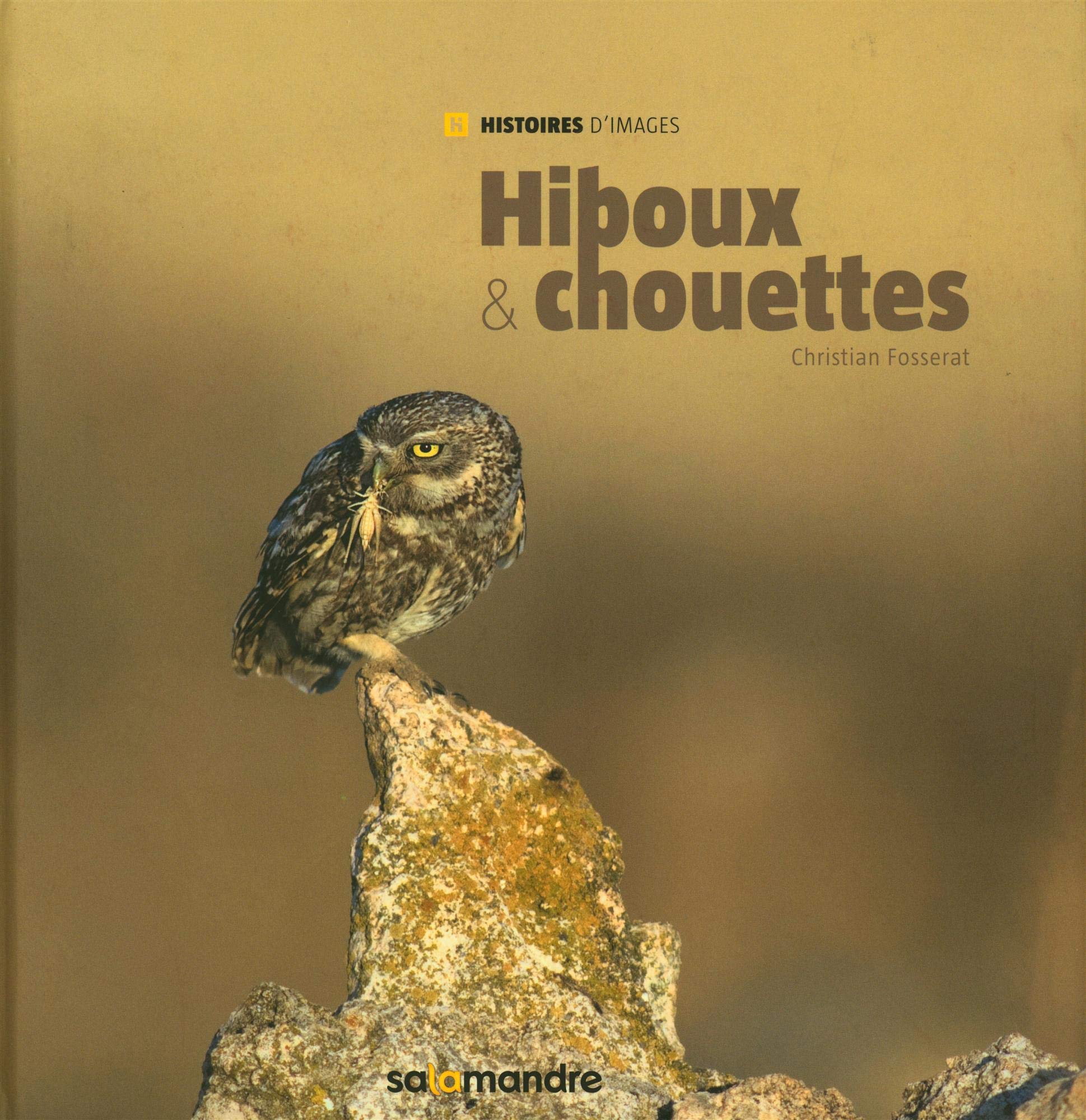Hiboux & chouettes Books