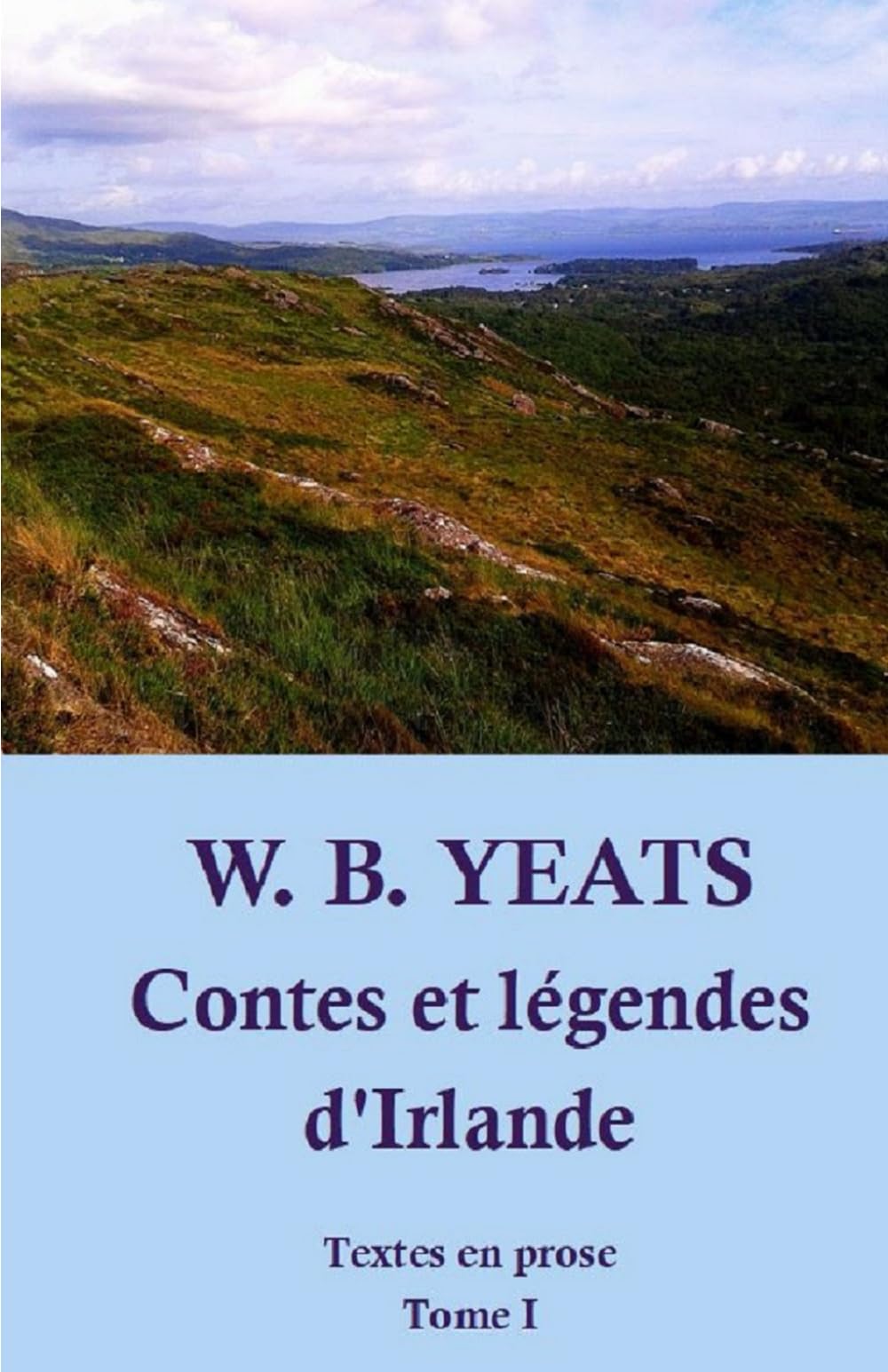 Contes et légendes d'Irlande: Traduction et notes - Textes en prose - Tome 1 book