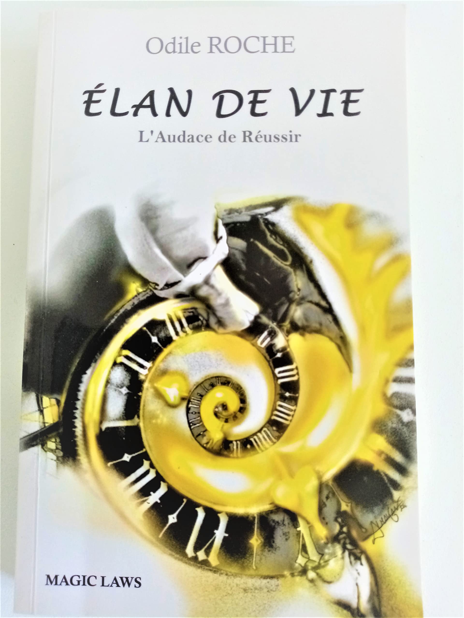 Elan de vie: L'audace de réussir. Sur les traces Jean-Pierre Schlinger, grand entrepreneur en fauteuil roulant Books