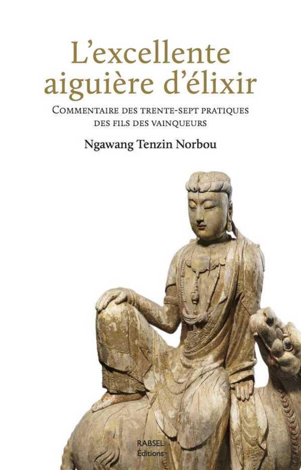 L'excellente aiguière d'élixir: Commentaire des trente-sept pratiques des fils de vainqueurs Religion & Esotericism