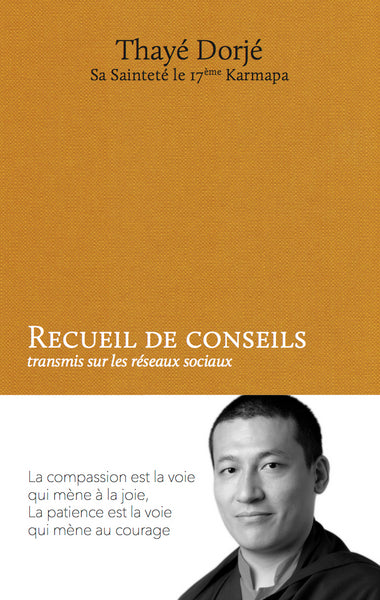 Recueil de conseils : transmis sur les réseaux sociaux Religion & Esotericism