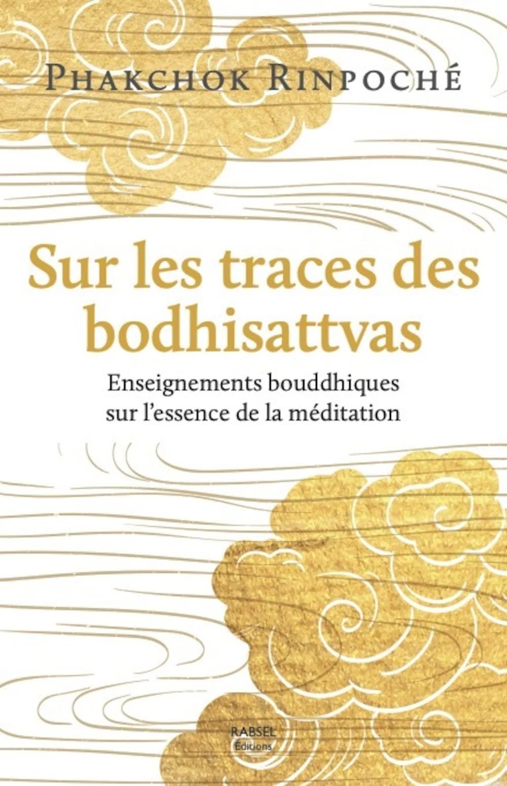 Sur les traces des bodhisattvas : Enseignements bouddhiques sur l'essence de la meditation book