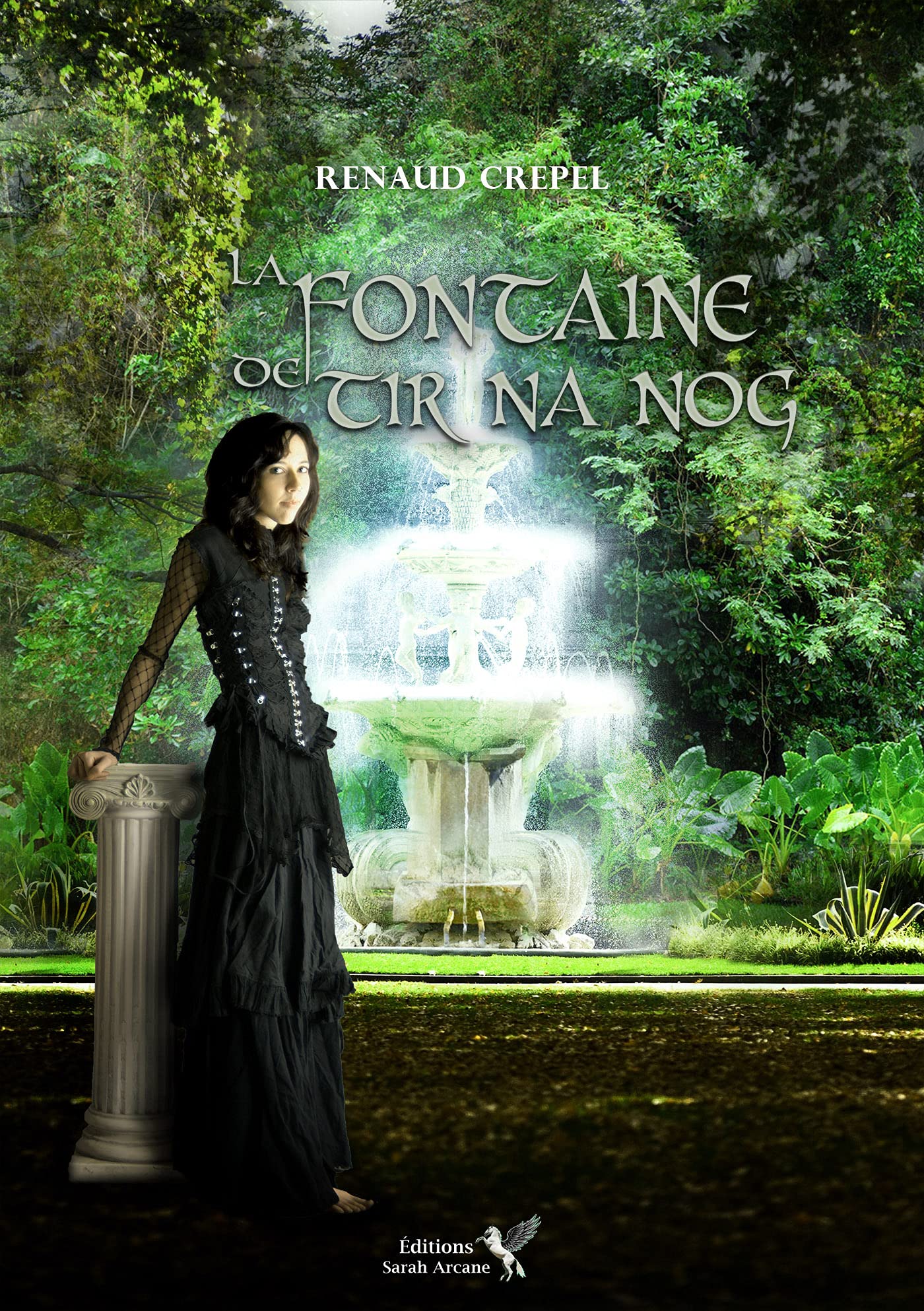 La fontaine de Tir Na Nog book