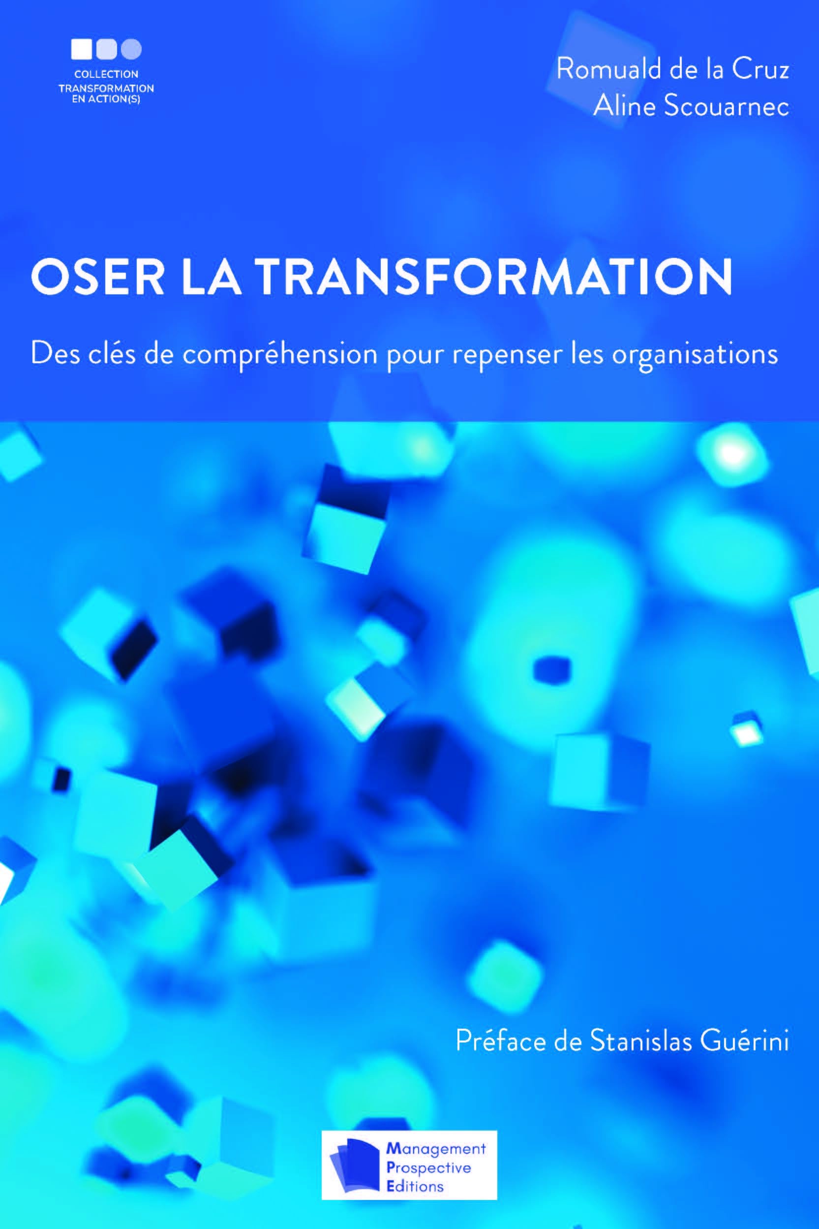 Oser la transformation: Des clés de compréhension pour repenser les organisations book