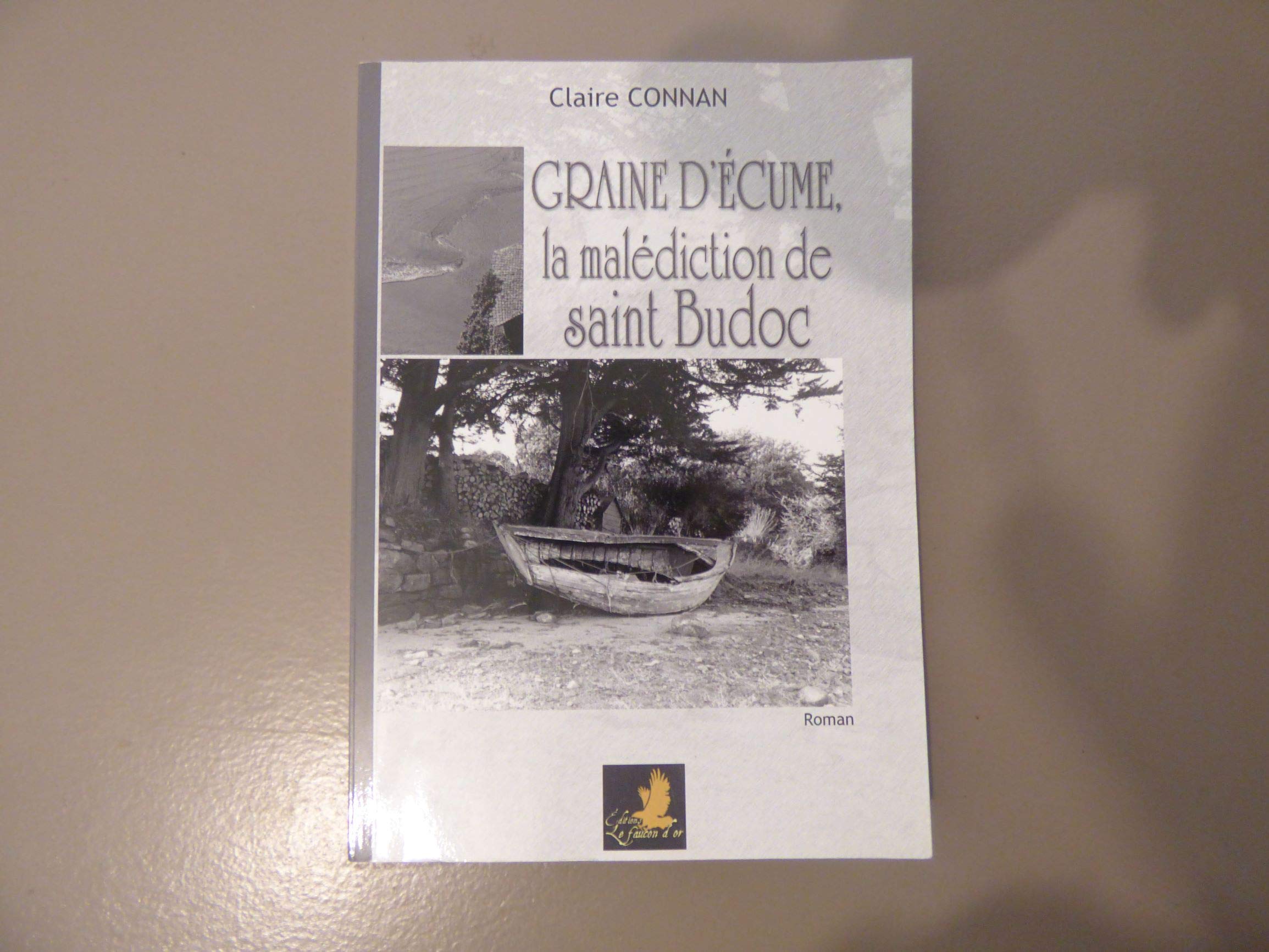 Graine d'écume, la malédiction de saint Budoc Contemporary literature