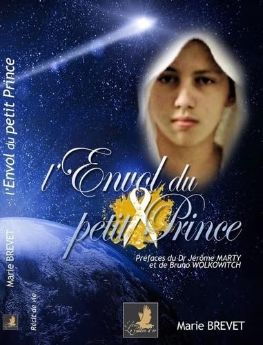 l'envol du petit prince Contemporary literature