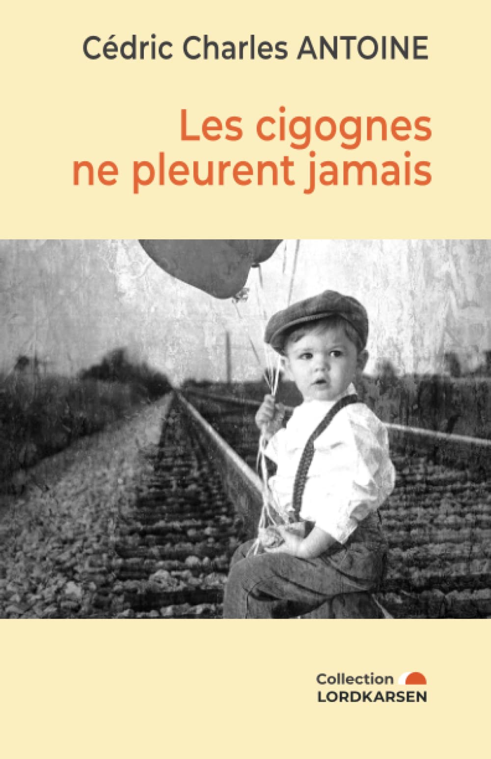 Les cigognes ne pleurent jamais Contemporary literature