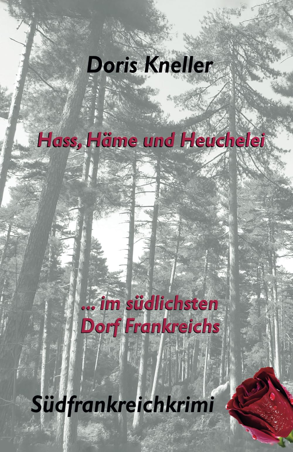 Hass, Häme und Heuchelei ... im südlichsten Dorf Frankreichs: Südfrankreichkrimi Contemporary literature